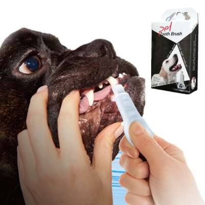 Toothbrush Teddy Dog Puppy Brush Addition Bad Breath Tartar Teeth Care Dogs Cat Toothbrush Cleaning Supplies